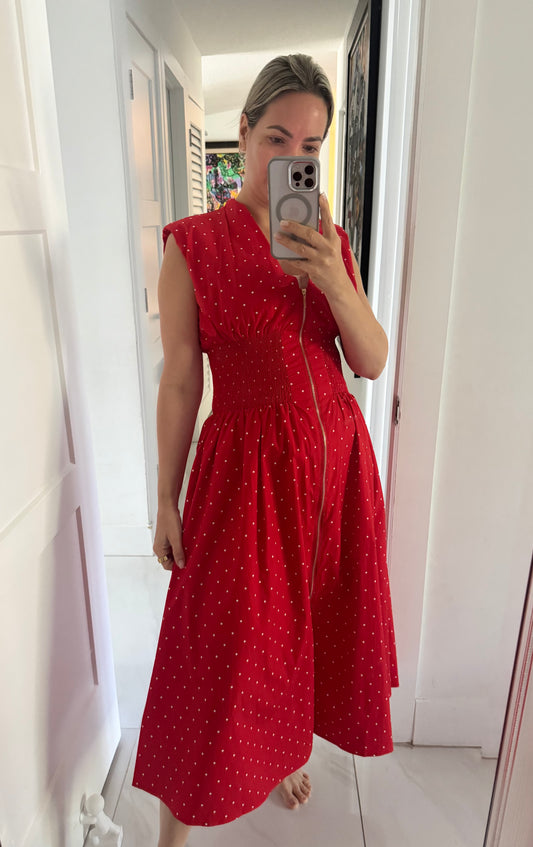 Suel Polka Dress